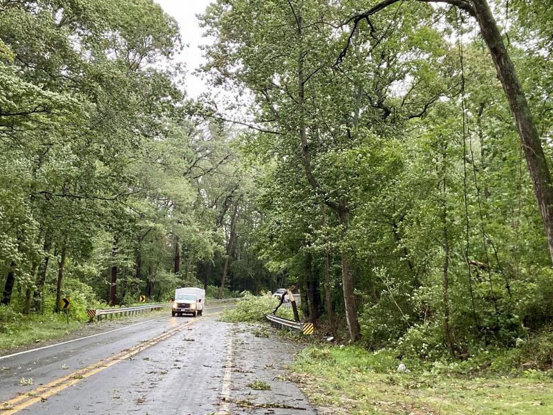Drivers navigate past a small downed tree blocking the westbound lane of Beaver Dam Road. ELLEN DRISCOLL PHOTO